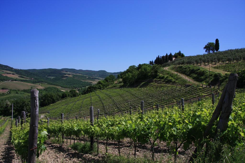 Il Borghetto Tuscan Holidays Сан Джиминяно Екстериор снимка